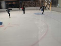-TheRink大零溜冰场(IFS国金中心店)