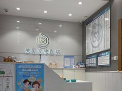 -关爱宠物医院·猫科中心·消化科(滨湖万达分院)