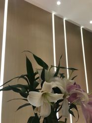 -苑苑vbeauty科技美容SPA