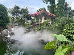 -金砂公园