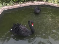 -南京圣和府邸豪华精选酒店