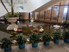 -广州白天鹅宾馆