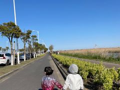 -南汇嘴观海公园