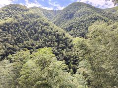 -竹海湾农家土菜
