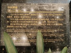 -土山湾博物馆