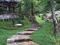 -广州市石门国家森林公园
