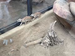 -海合安成都极地海洋公园