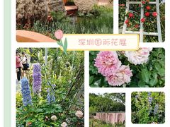 -深圳市中科院仙湖植物园