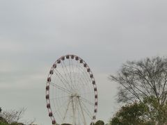 -高东镇樱花园