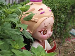 -莲花池公园