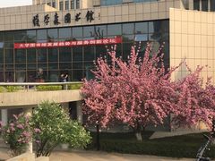 -西安交通大学(雁塔校区)