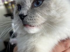 -宠爱国际维尼动物医院·疑难骨科·神经外科·肿瘤科(丰潭路店)