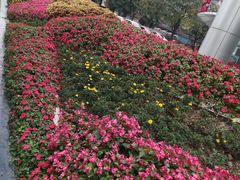 -西安创业咖啡街区