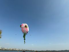 -西湖游船
