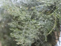 -幽篁里古琴制作中心