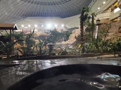 -青岛海泉湾皇冠假日度假酒店