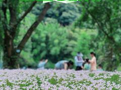 -广州市白云山风景名胜区