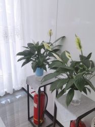 -痘博士天津·全国连锁祛痘机构