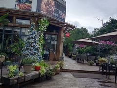 -一棵树·意大利西餐厅One Tree(新城店)