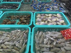 蓝海岸霞浦海鲜-渔傅·蓝海岸霞浦海鲜(正祥店)
