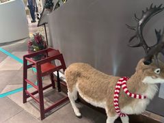 -海马体照相馆(深圳万象天地店)