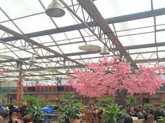 -老磨油饼(高陵店)