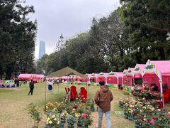 -人民公园(罗湖区)