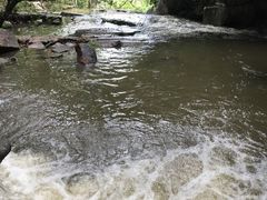 -呀诺达热带雨林
