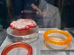 -中国地质博物馆