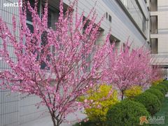 -华北电力大学(一校区)