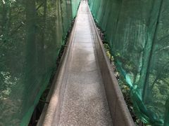 -北辰山景区