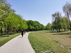 -东坝千亩湖公园