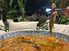 -听香·678茶铺(猛追湾店)