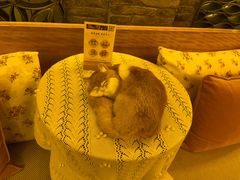 -叶叶菩提·晋福宫