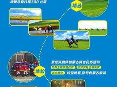 -大连凯洋马术俱乐部有限公司