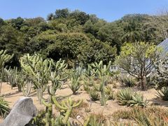 -深圳仙湖植物园