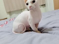 -北京恒爱动物医院(清景园分院)