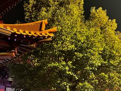 -亭林园-华藏寺