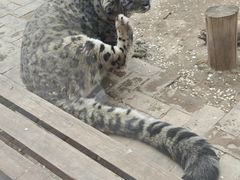-青藏高原野生动物园