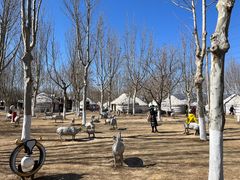 -九十九顶毡房(阜石路店)