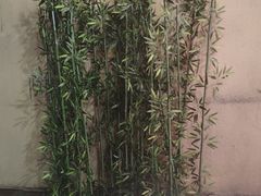 -江湖亮亮蒸虾大排档烤全羊清真(武汉总店)