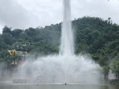 -西双版纳原始森林公园