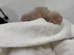 -御宝贝24h宠物医院·转诊中心·CT核磁血透中心(厦门总院)