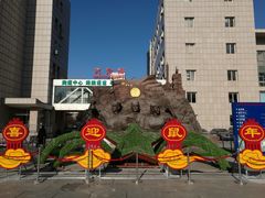 -中国人民解放军第九医学中心(306医院)