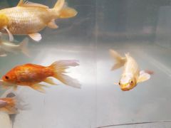 -中影国际影城(兰生大厦店)