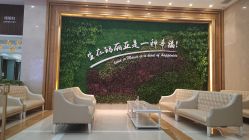 -玛丽亚妇产医院