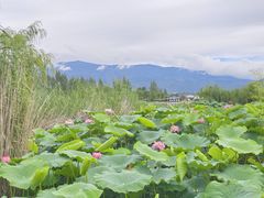 -大理地热国