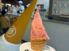 -野人先生现做冰淇淋(北京悠唐购物中心店)