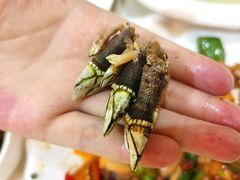 -新享乐海鲜(翠华路店)