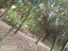 -徐州幼儿师范高等专科学校北校区(洞山路校区)